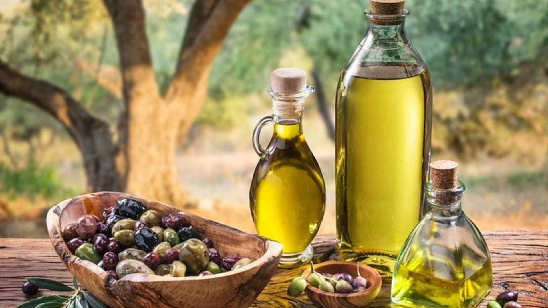 خبراء لـ"رؤيا:": محصول الزيتون "شحيح" .. ونطالبات بتحويل "المحتكرين" إلى المحاكم العسكرية - فيديو