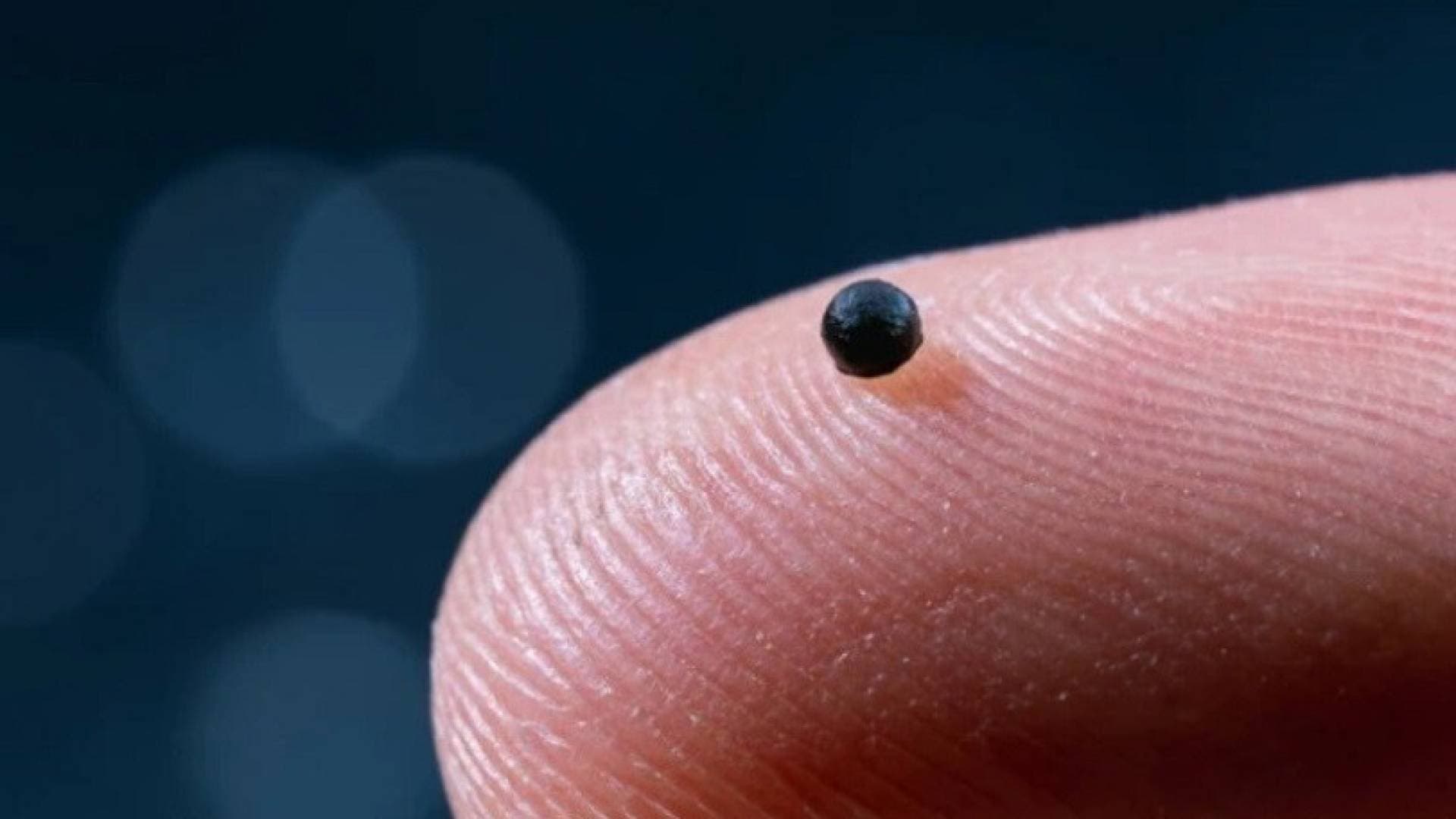 تكنولوجيا طبية مستقبلية: روبوت بحجم حبة رمل لتوصيل الأدوية داخل الأوردة والشرايين