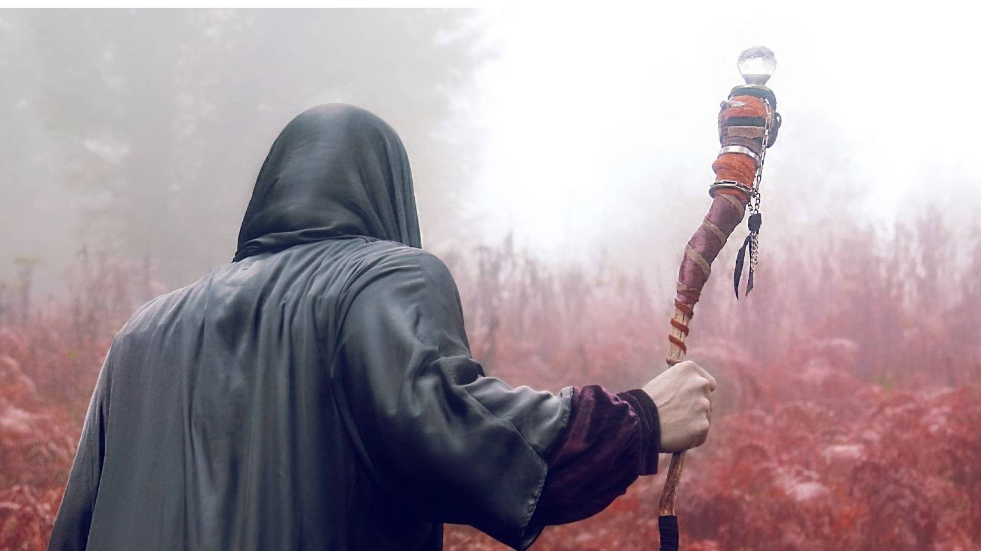 عنف وتحرش واحتجاز.. سقوط "دجال مصر" في قبضة الأمن بعد فضيحة "الضرب بالمنزل"