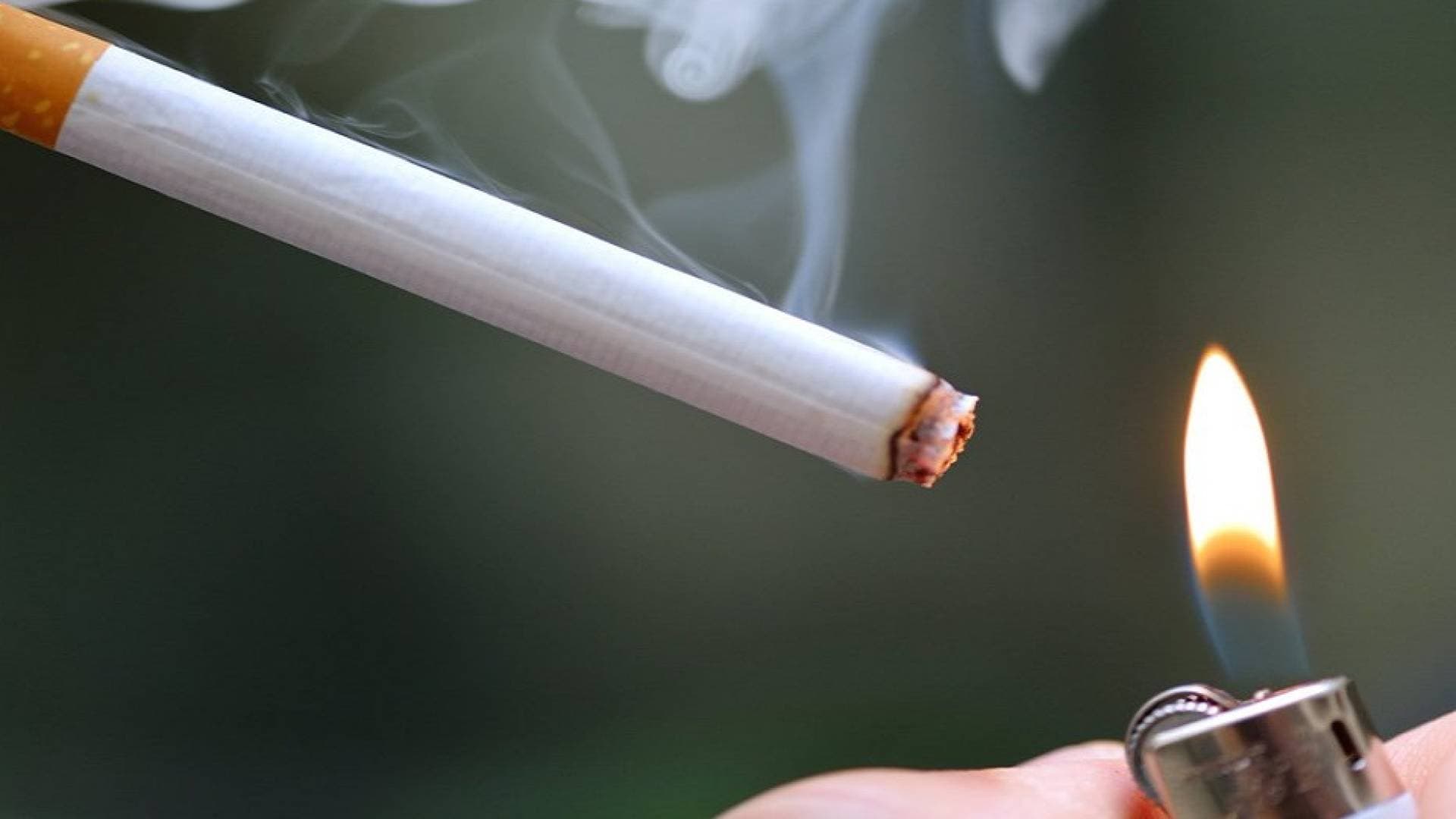 الحكومة تهدف لتحسين كفاءة التحصيل الضريبي ومكافحة التهرب والرقابة على الدخان