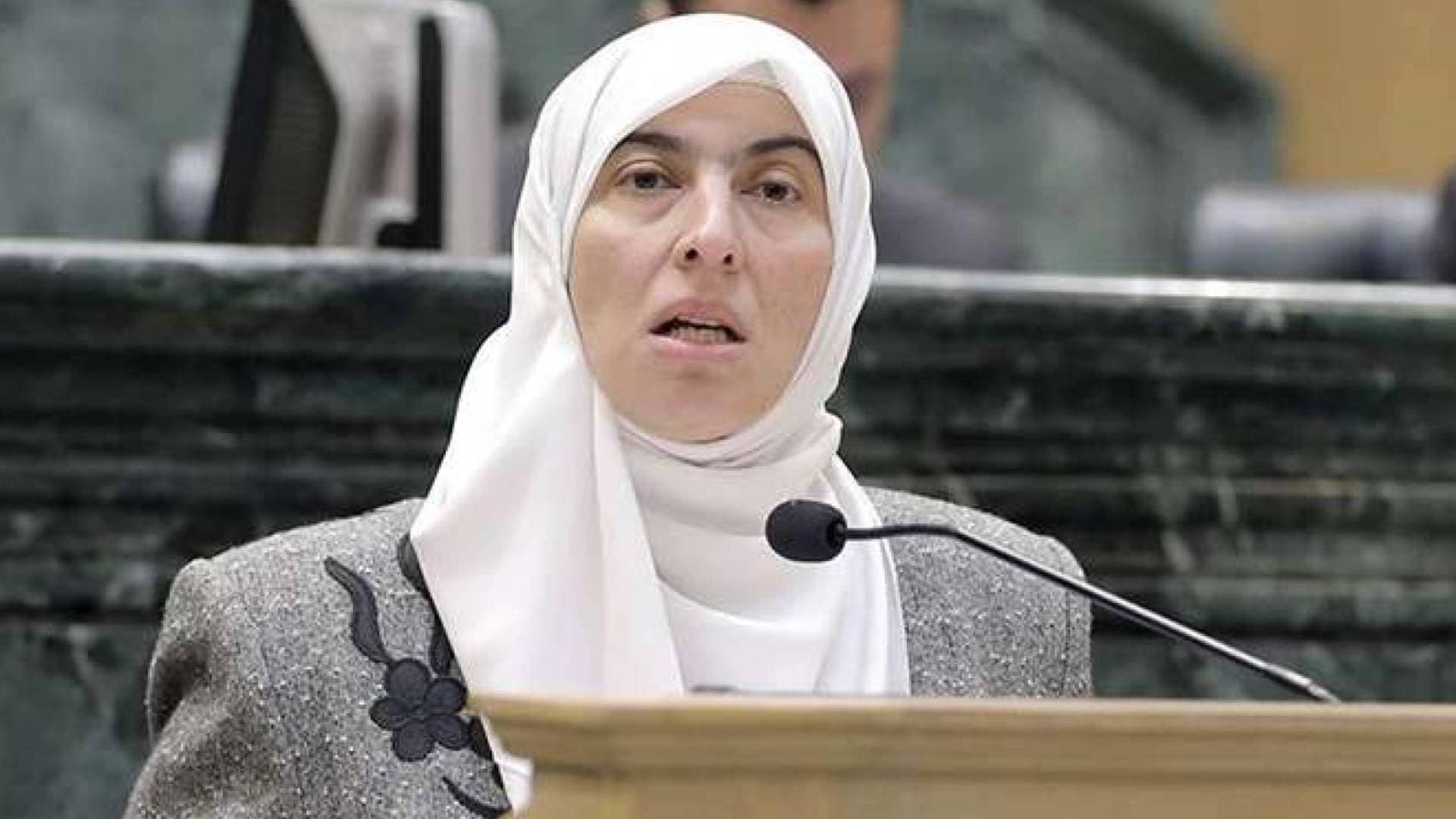 طهبوب: تقرير "المحاسبة" لم يكبح المديونية.. والرقابة بحاجة لأنياب