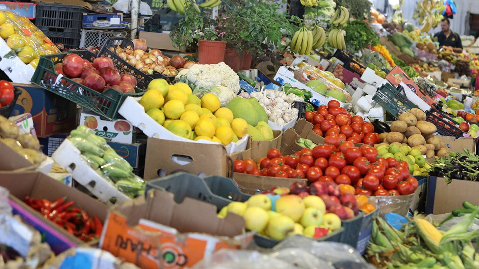 1908 أطنان من الخضار ترد السوق المركزي في عمان .. تعرف على قائمة الأسعار