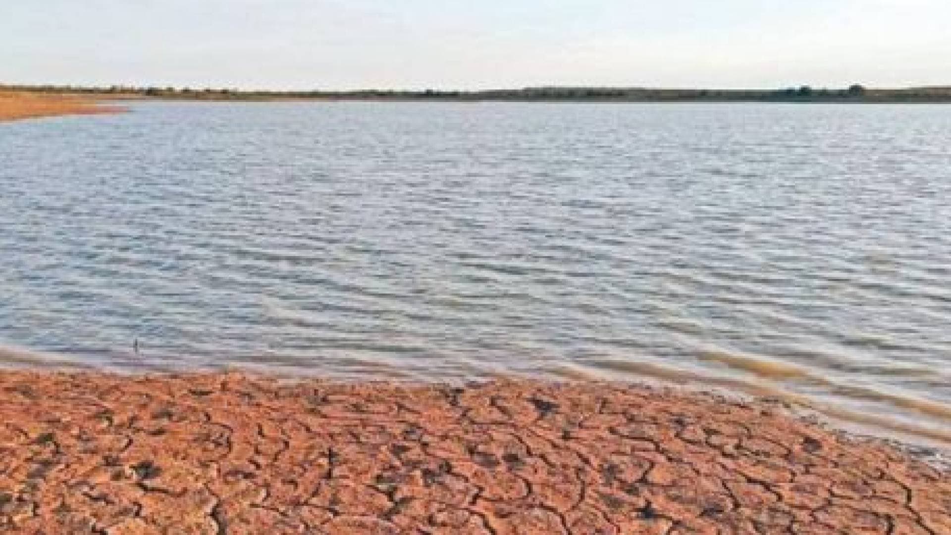 زراعة العقبة: 30 حفيرة ترابية لتعزيز الأمن المائي في وادي عربة والقويرة