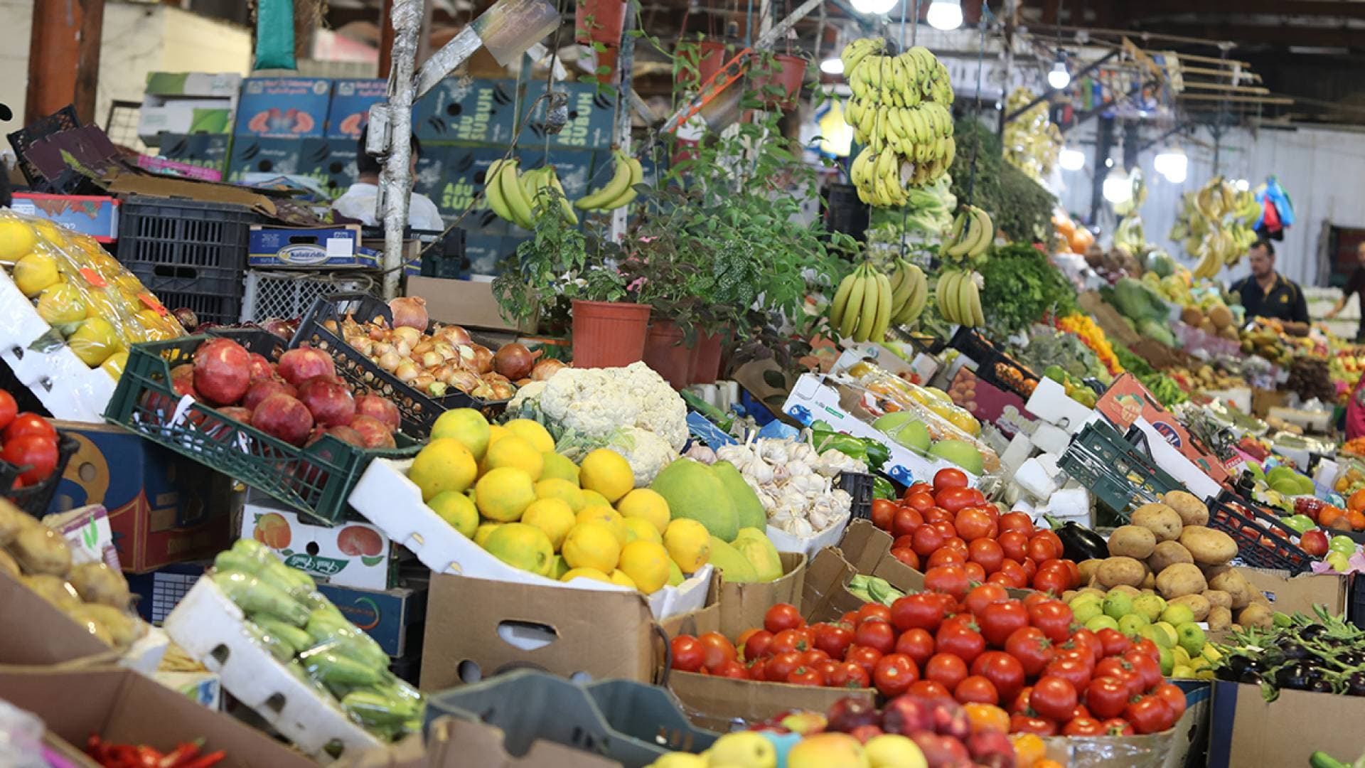 البندورة بـ 30 قرشا والملفوف بـ 5 قروش.. قائمة أسعار الخضار في سوق عمان المركزي