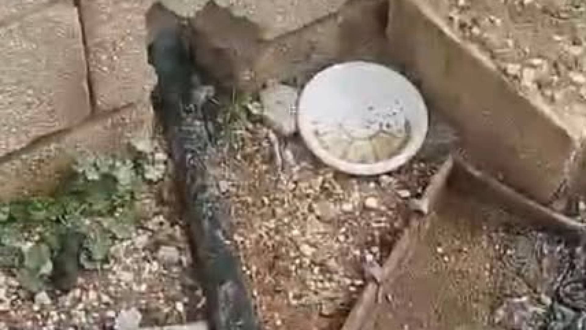 المياه تضبط اعتداءات على خطوط ناقلة في الموقر وتحيل المخالفين للقضاء