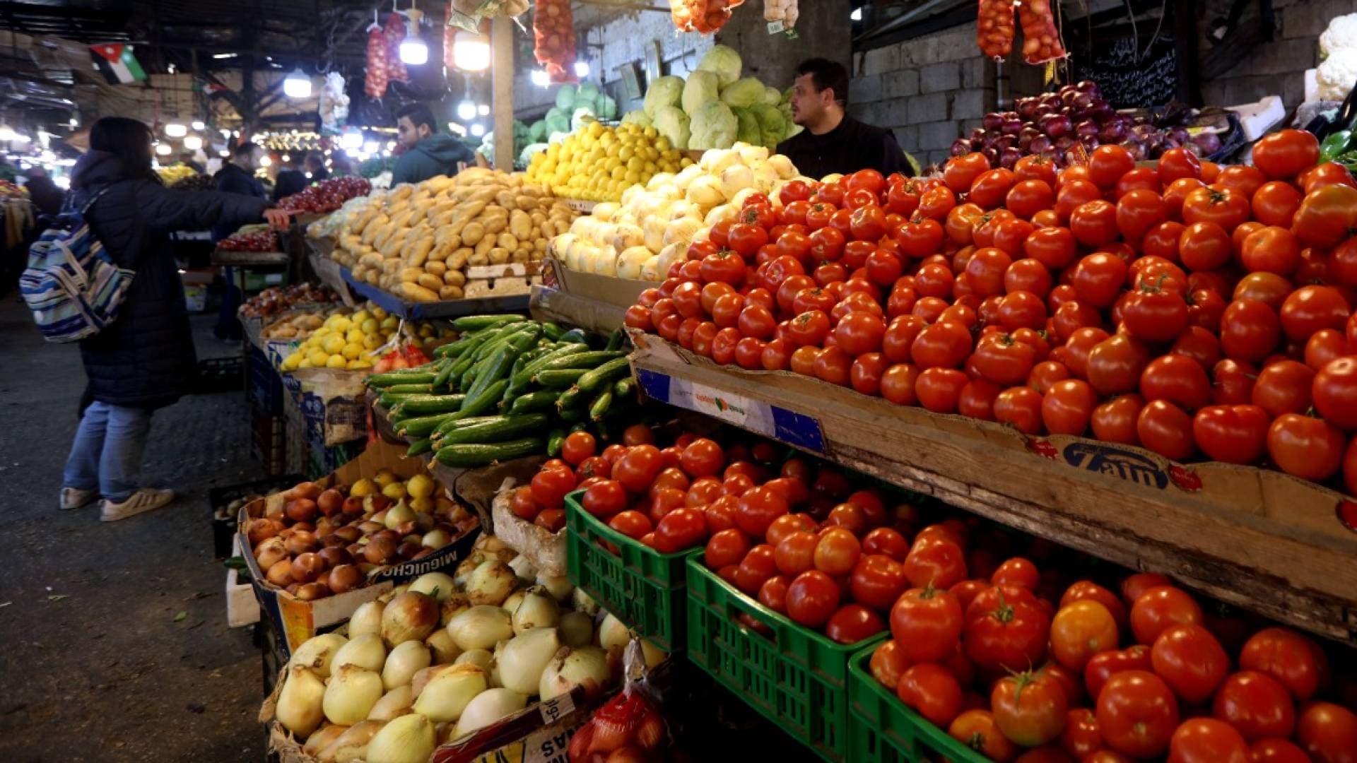 2272 طنا من الخضار ترد السوق المركزي.. وسعر كيلو البندورة من 35 - 55 قرشا